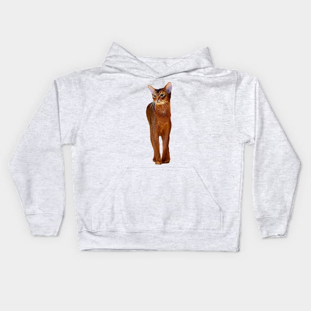 Abyssinian Cat Kitten Kids Hoodie by Elarex